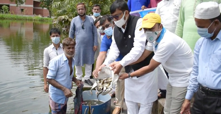 বর্তমান সরকারের আমলে দেশের মৎস্য খাত সমৃদ্ধশালী হয়েছে