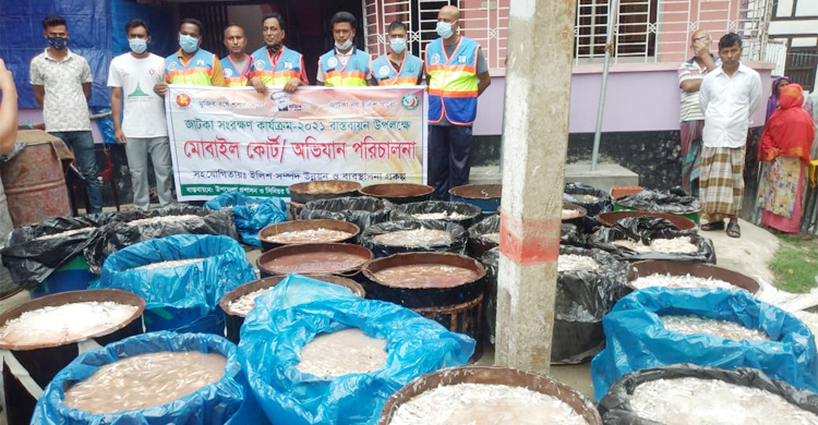 মুন্সিগঞ্জে জব্দকৃত ২০০ মণ জাটকা মাদরাসা-এতিমখানায় বিতরণ