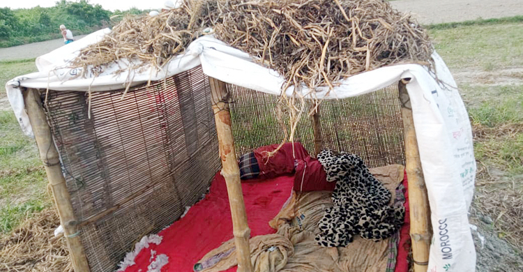 আলু পাহারা দেওয়ার সময় প্রতিপক্ষের হামলায় যুবক নিহত