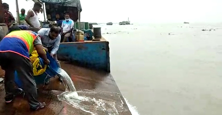 জব্দ করা ৫০ লাখ চিংড়ি রেণু ছাড়া হলো পদ্মায়