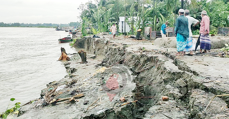 মুন্সিগঞ্জে পদ্মার ভাঙনে অর্ধকিলোমিটার এলাকা ক্ষতিগ্রস্ত