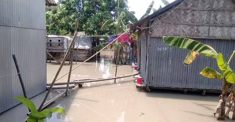 পদ্মার পানি বাড়ায় প্লাবিত মুন্সিগঞ্জের নিম্নাঞ্চল