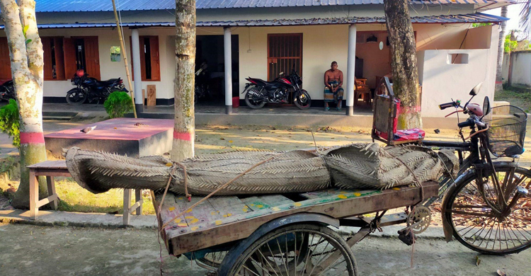 কুষ্টিয়ায় গৃহবধূকে হত্যার অভিযোগে স্বামী-শ্বশুর আটক