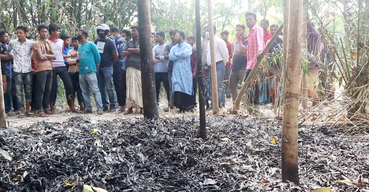 মাগুরায় অজ্ঞাত ব্যক্তিকে হত্যার পর আগুনে পুড়িয়ে দিল দুর্বৃত্তরা