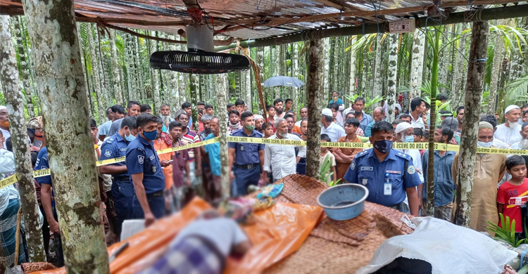 ভোলায় সুপারি বাগান থেকে বৃদ্ধের গলাকাটা মরদেহ উদ্ধার