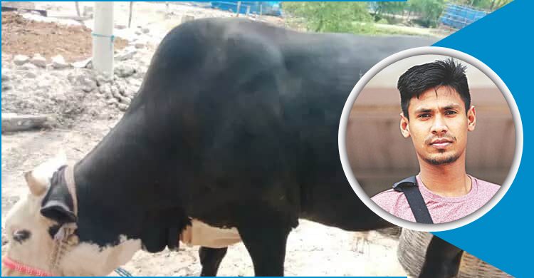 এক গরুর সঙ্গে দুটি মহিষও কোরবানি দিচ্ছেন কাটার মাস্টার