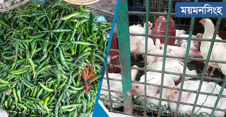 কাঁচা মরিচের কেজি ১২০, মুরগি-ডিমের দামও চড়া