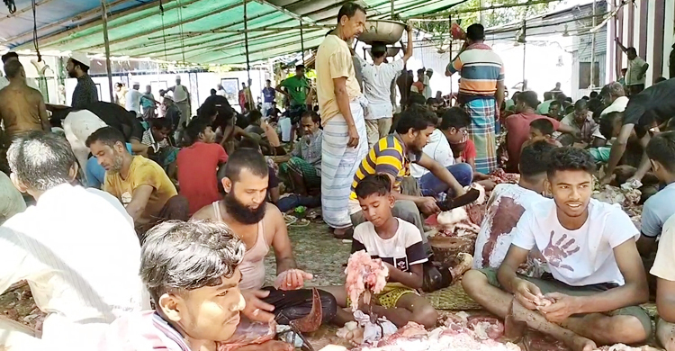 একসঙ্গে কোরবানির পশু জবাই-মাংস বণ্টন হয় যে গ্রামে