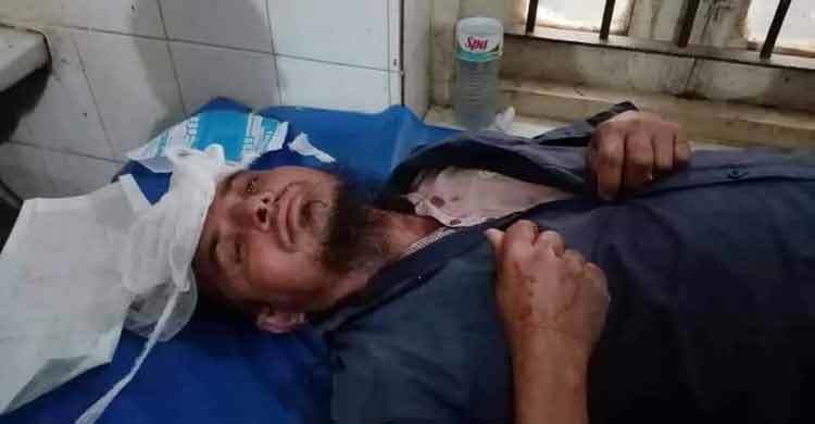 ময়মনসিংহে মহিষের আক্রমণে নিহত ১, আহত ৩