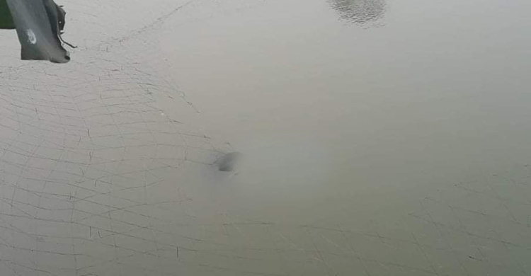 পুকুরে ভাসছিল বৃদ্ধের মরদেহ