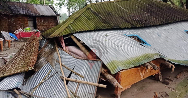 ১০ মিনিটের ঝড়-শিলাবৃষ্টিতে লন্ডভন্ড ডিমলা-ডোমার