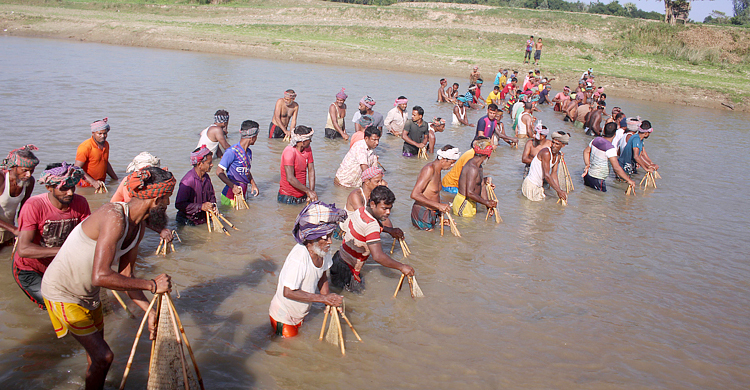 ছোট যমুনার বুকে পলো দিয়ে মাছ ধরা উৎসব