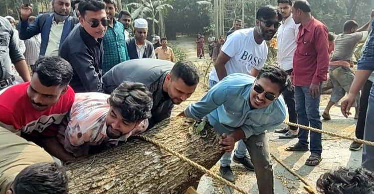 গাড়ি থেকে নেমে গাছ সরিয়ে যানজট মুক্ত করলেন মাশরাফি