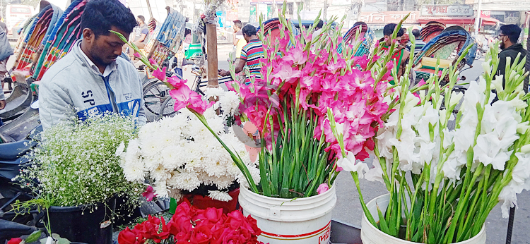 লাল গোলাপ ৫০, সাদা ১০০