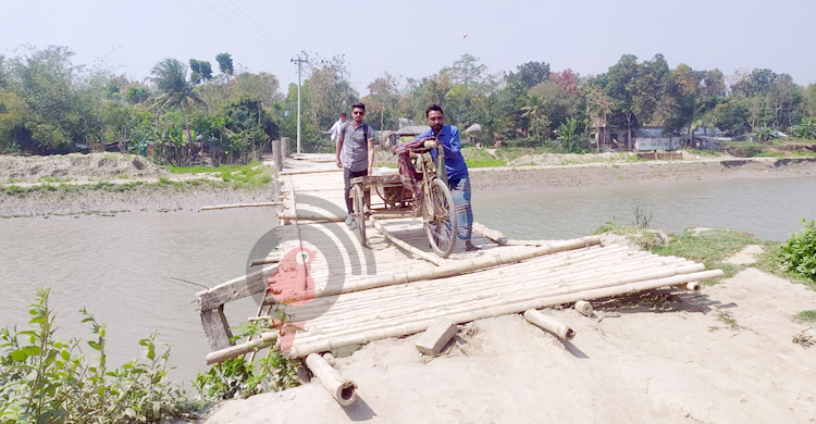 নড়বড়ে সাঁকোটিই দুই জেলার ৫০ হাজার মানুষের ভরসা