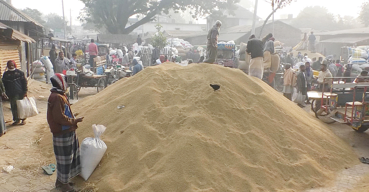 সরকারি গুদামে আগ্রহ হারিয়েছেন নওগাঁর কৃষক-ব্যবসায়ীরা