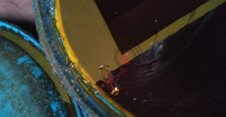 সয়াবিন তেলে ‘তেলাপোকা’ পাওয়ায় ব্যবসায়ীর জরিমানা