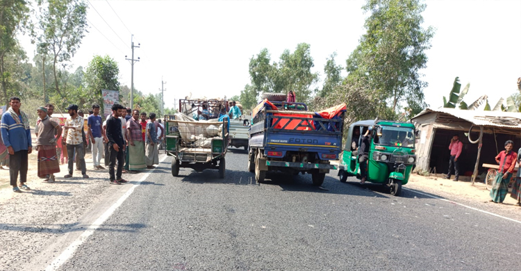 মান্দায় সড়ক দুর্ঘটনায় পথচারীর মৃত্যু