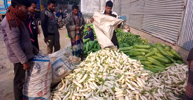 নওগাঁয় মুলার কেজি ১ টাকা