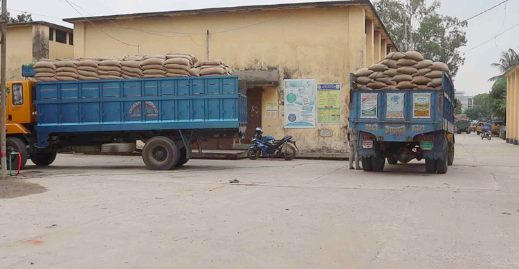 সরকারিভাবে এক কেজি ধানও সংগ্রহ হয়নি নওগাঁর ৪ উপজেলায়
