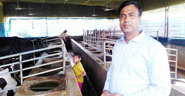 প্রবাস ছেড়ে খামারে সফল ডালিম