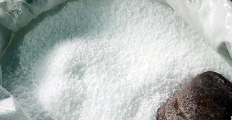 নওগাঁয় ইউরিয়া সংকট