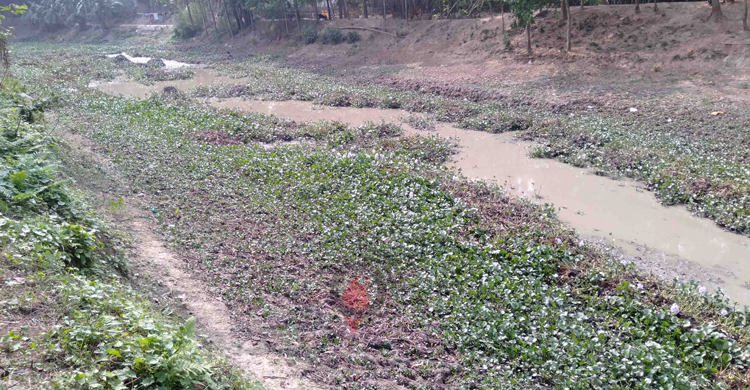 যৌবন হারিয়ে এখন মৃত খাল নওগাঁর তুলসীগঙ্গা নদী