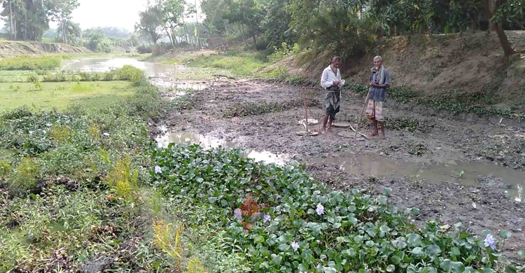 যৌবন হারিয়ে এখন মৃত খাল নওগাঁর তুলসীগঙ্গা নদী