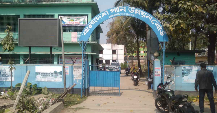 ভুয়া টেন্ডারে কাটা হলো পানি উন্নয়ন বোর্ডের ৪ লাখ টাকার গাছ