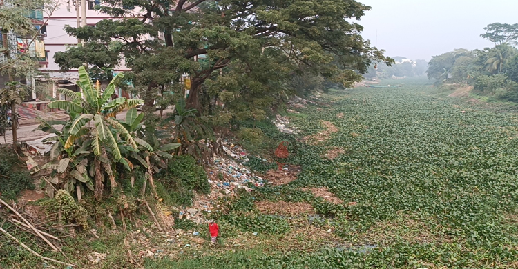 খরস্রোতা ‘মারিখালী’ এখন মরা নদ