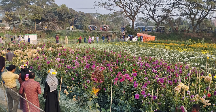 ফুলে ফুলে ছেয়ে গেছে সাবদি-দিঘলদী