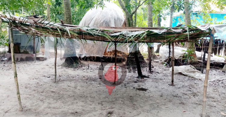আদালতের নিষেধাজ্ঞা অমান্য করে জমি দখলের চেষ্টা বাদীর