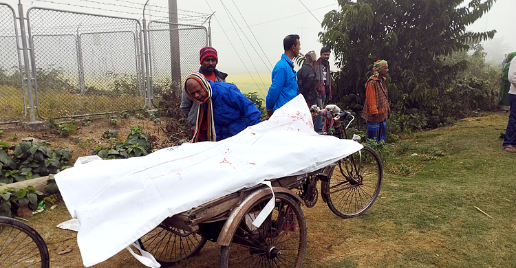 নড়াইলে গরু চোর সন্দেহে দুই যুবককে পিটিয়ে হত্যা