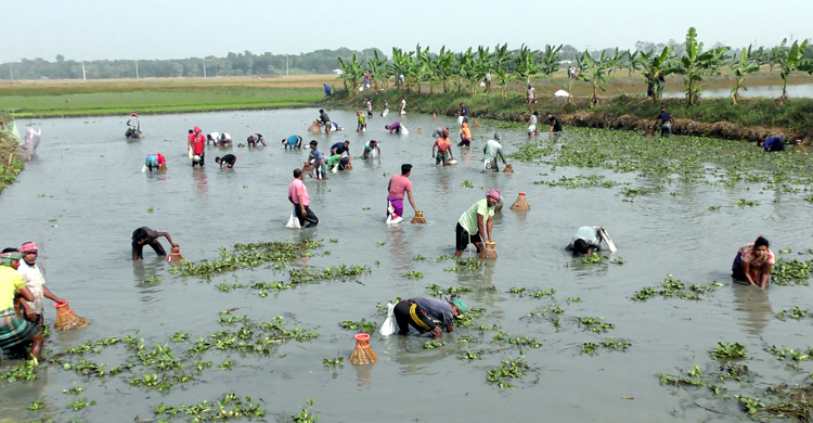 Narail-Catch-Fish1