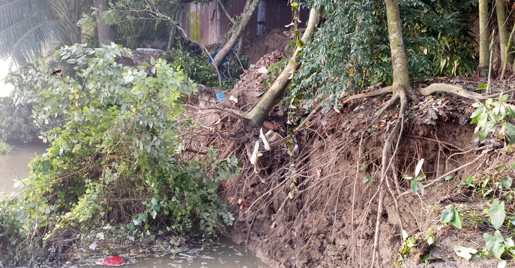 চিত্রা নদীতে ভাঙন, হুমকির মুখে ঘরবাড়ি