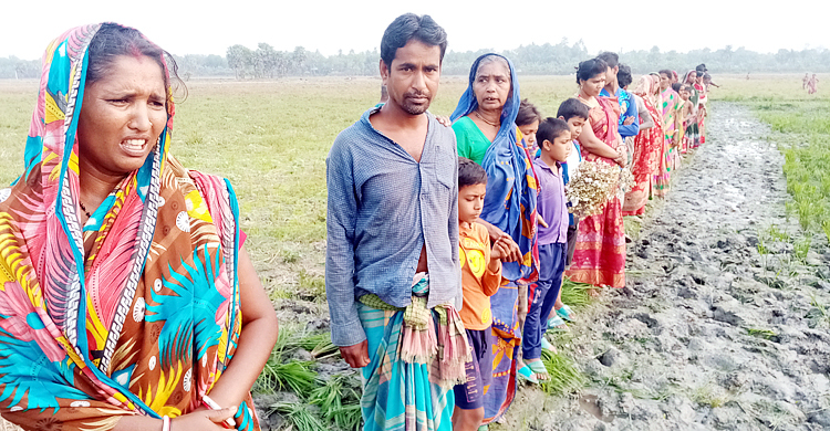 জমি নিয়ে ২ পরিবারের দ্বন্দ্বে কপাল পুড়েছে বর্গাচাষির