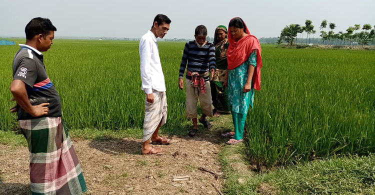 কিছু হলেই শটগানের ভয় দেখান সিকিউরিটি গার্ড ইরান মোল্লা