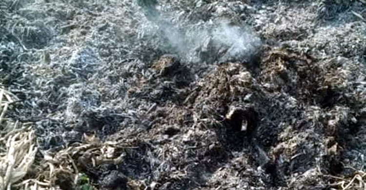 সবজি বাগানে মিলল আগুনে পোড়া মরদেহ