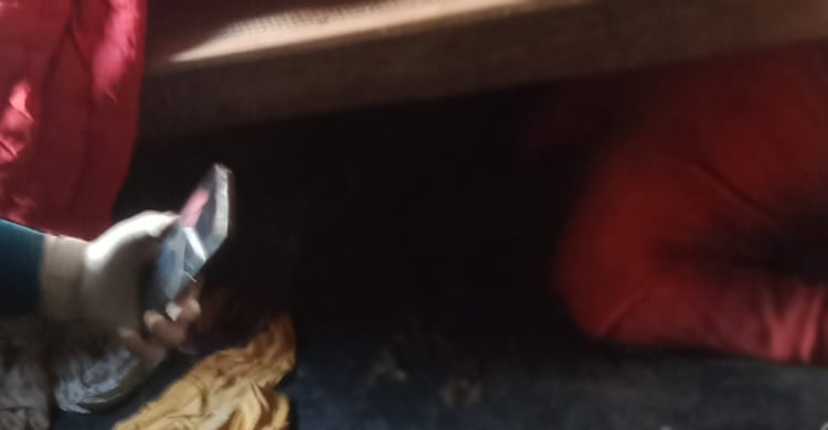 খাটের নিচ মিললো নারীর অর্ধগলিত মরদেহ