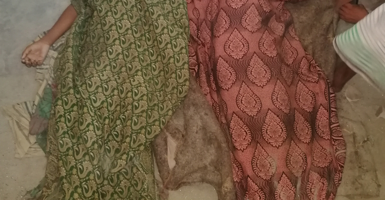 নরসিংদীতে পানিতে ডুবে দুই স্কুলছাত্রের মৃত্যু