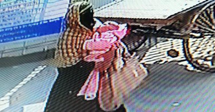 হাসপাতাল থেকে সন্তান চুরি, পাগলপ্রায় মা