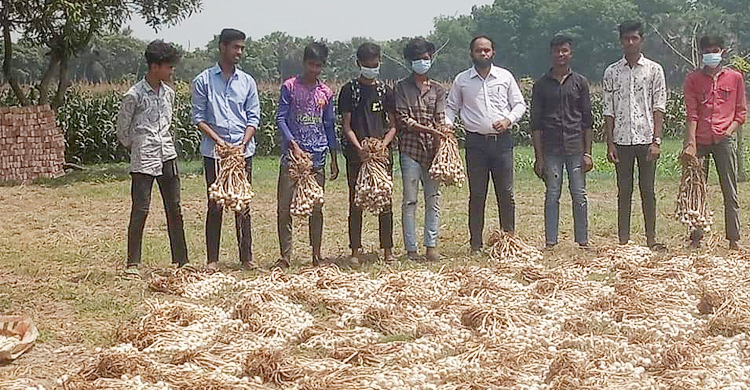অন্ধ কৃষকের খেতের রসুন তুলে দিলো কিশোররা