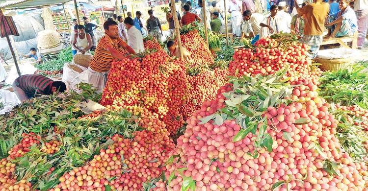 একশ লিচু বেচা-কেনায় কমিশন ১৭ টাকা!