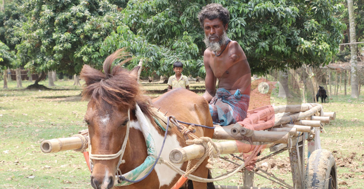 নেই একটি পা ও হাত, তবু হার মানেননি মিজানুর