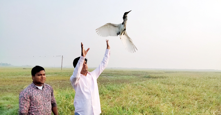 মুক্ত আকাশে ডানা মেললো তিন শতাধিক বক