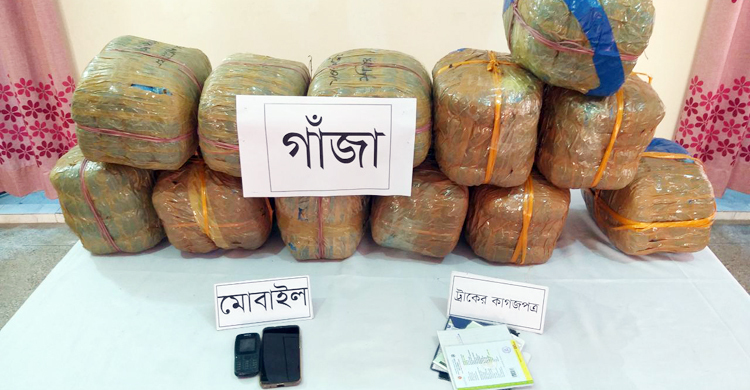 নাটোরে ৫০ কেজি গাঁজাসহ আটক ২