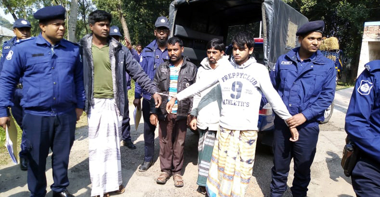 রাস্তায় ব্যারিকেড দিয়ে গরুবোঝাই ট্রাক ছিনতাই, ৯৯৯ নম্বরে ফোন