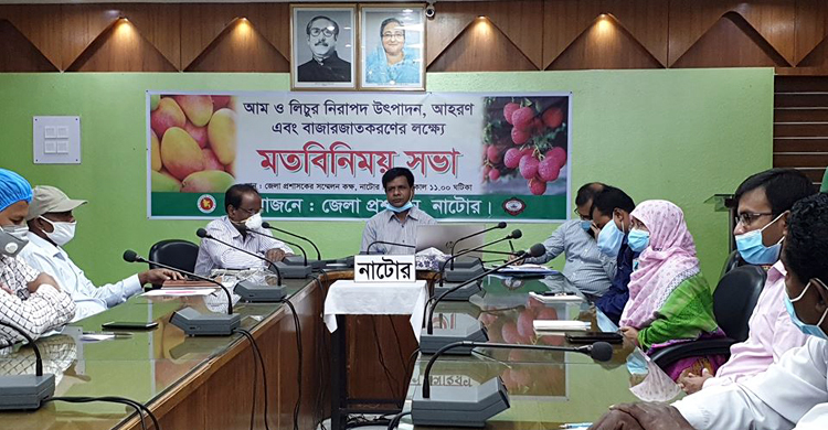 নাটোরে আম ও লিচু গাছ থেকে নামানোর দিন নির্ধারণ