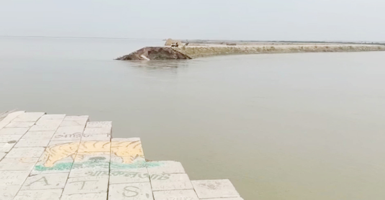 এবার চরহাইজদা স্থায়ী বাঁধ কাটার অভিযোগ, হাওরে ঢুকছে পানি
