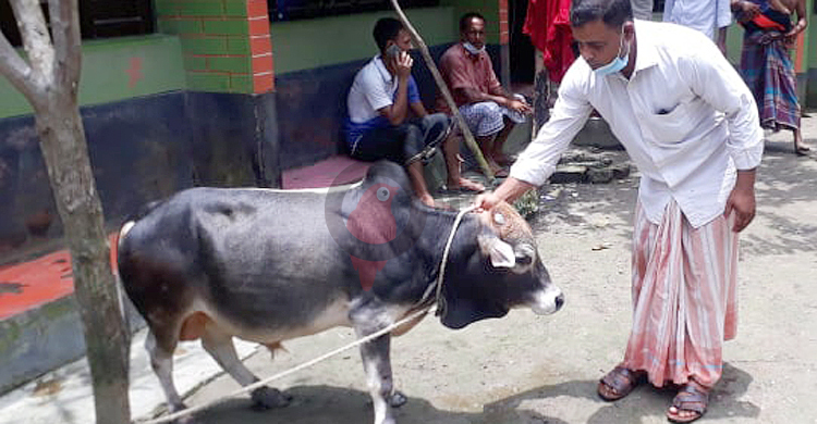 ২৭ ইঞ্চি ‘মেসি’র দাম হাঁকছে ১০ লাখ